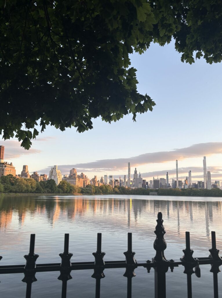 Ville de New York
